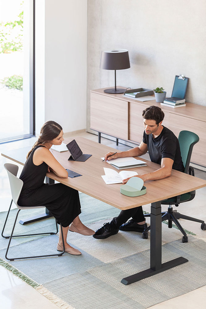 Mesas regulables — mesas elevables mobility (58)