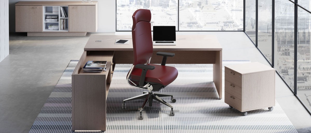 Sillones de dirección — ERGOTANGO Direcc Instalacion